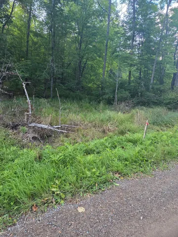 $29,000 | Tbd 484th Street, McGregor, MN 55760