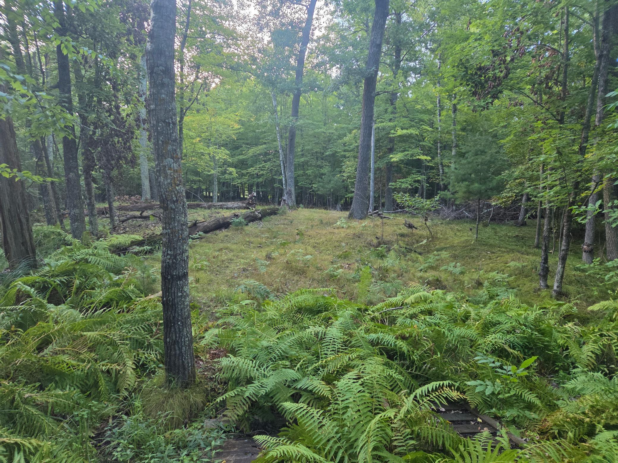 Tbd 484th Street McGregor, MN 55760 - Photo 4 of 7