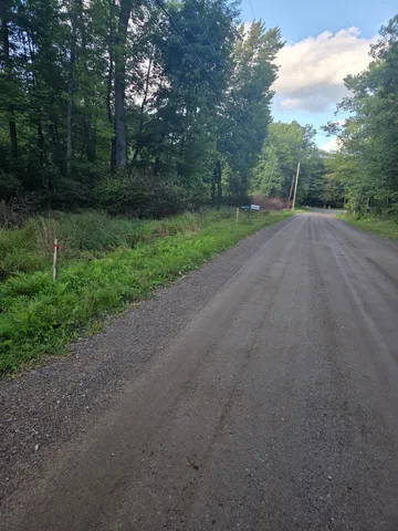 $29,000 | Tbd 484th Street, McGregor, MN 55760