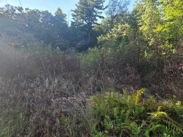 $29,000 | Tbd 484th Street, McGregor, MN 55760