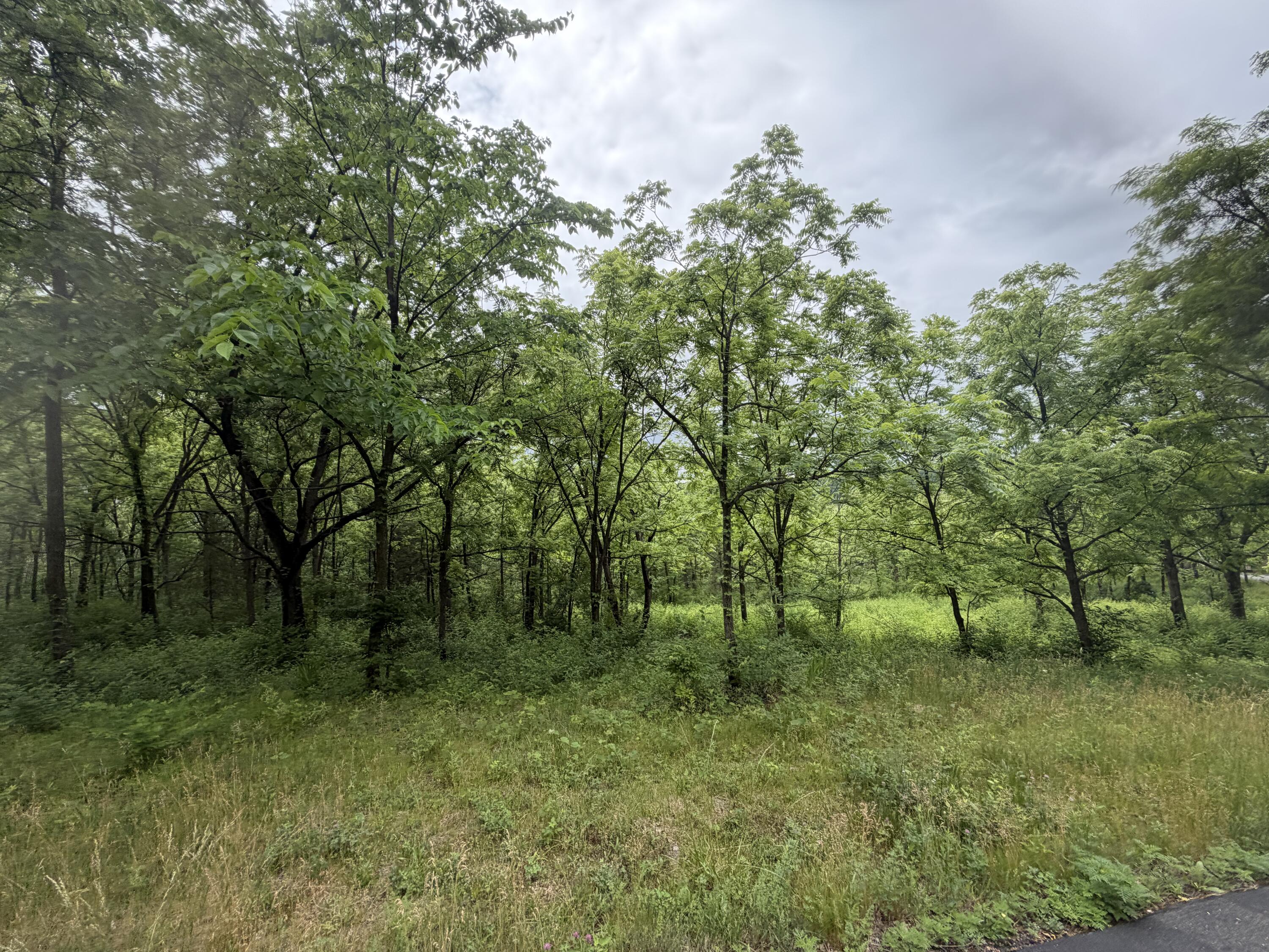 Lot 1 Krueger Road Geneva, WI 53147 - Photo 5 of 9 IMG_3030