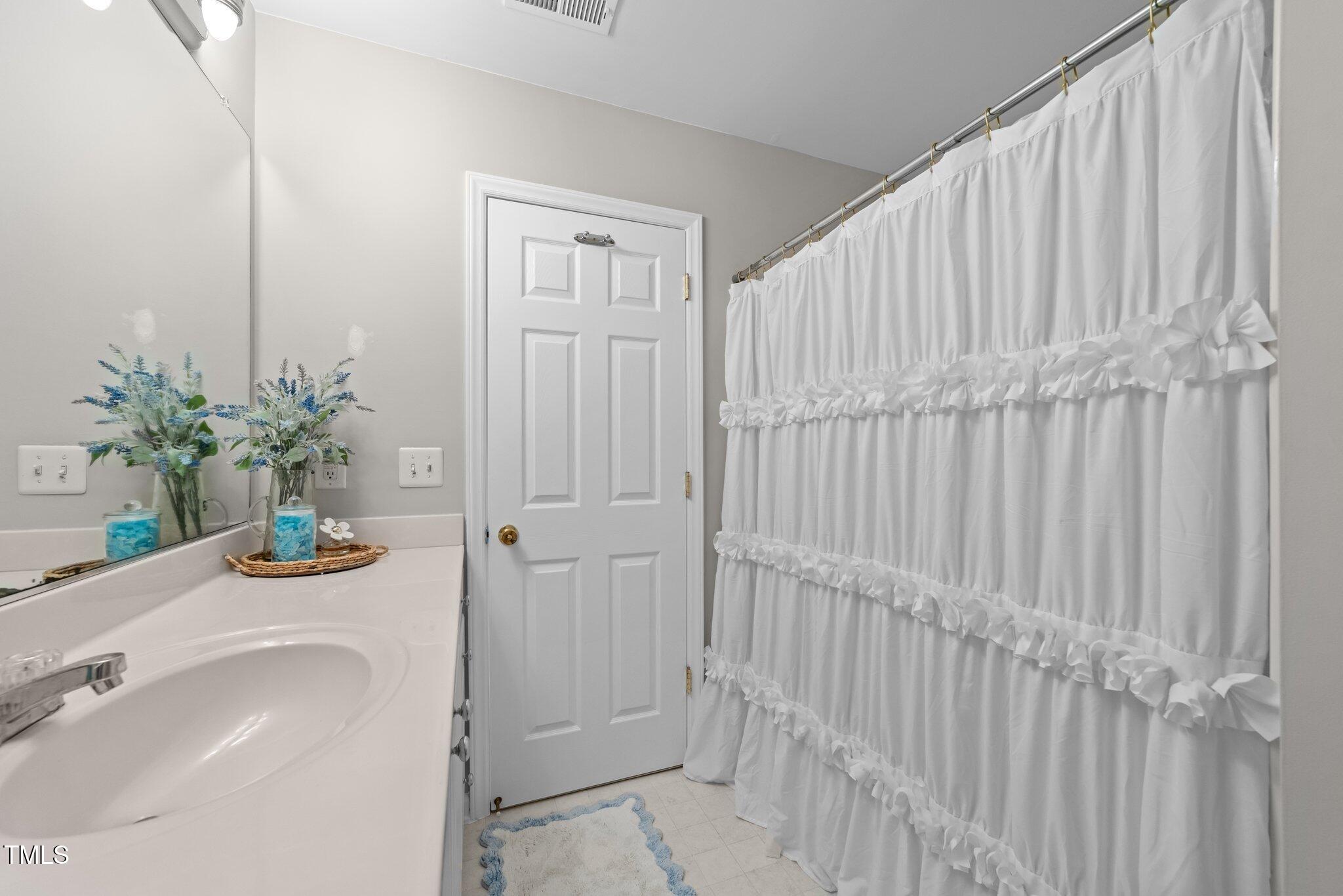 5717 Corbon Crest Lane Raleigh, NC 27612 - Photo 21 of 36 a bathroom with a sink a mirror and a potted plant