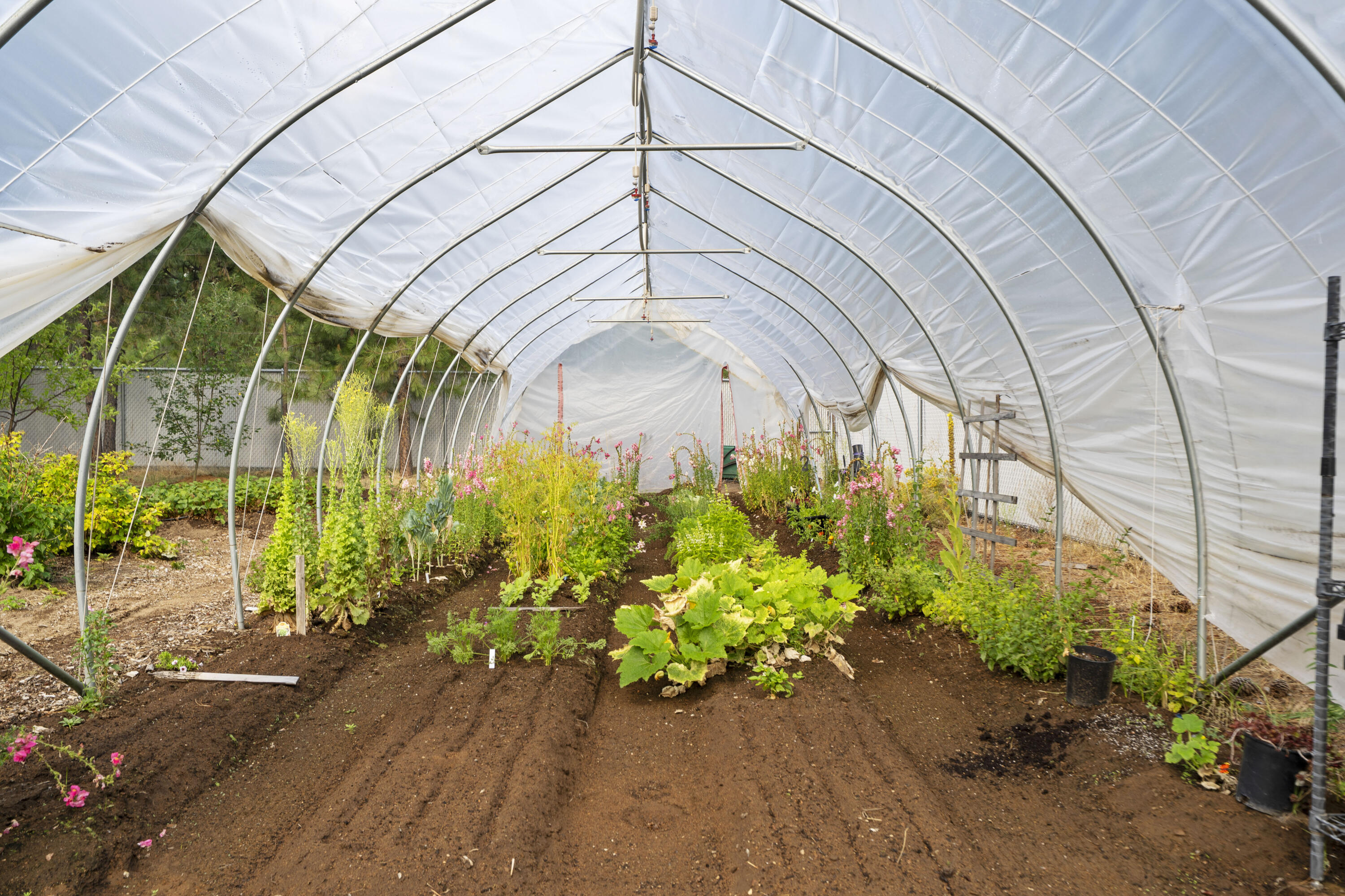 59773 Cheyenne Road Bend, OR 97702 - Photo 38 of 46 Green house