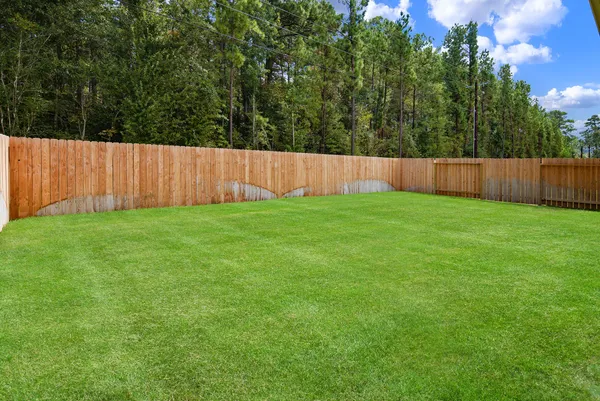 $2,500 | 1069 Dancing Feather Street, Montgomery, TX 77316