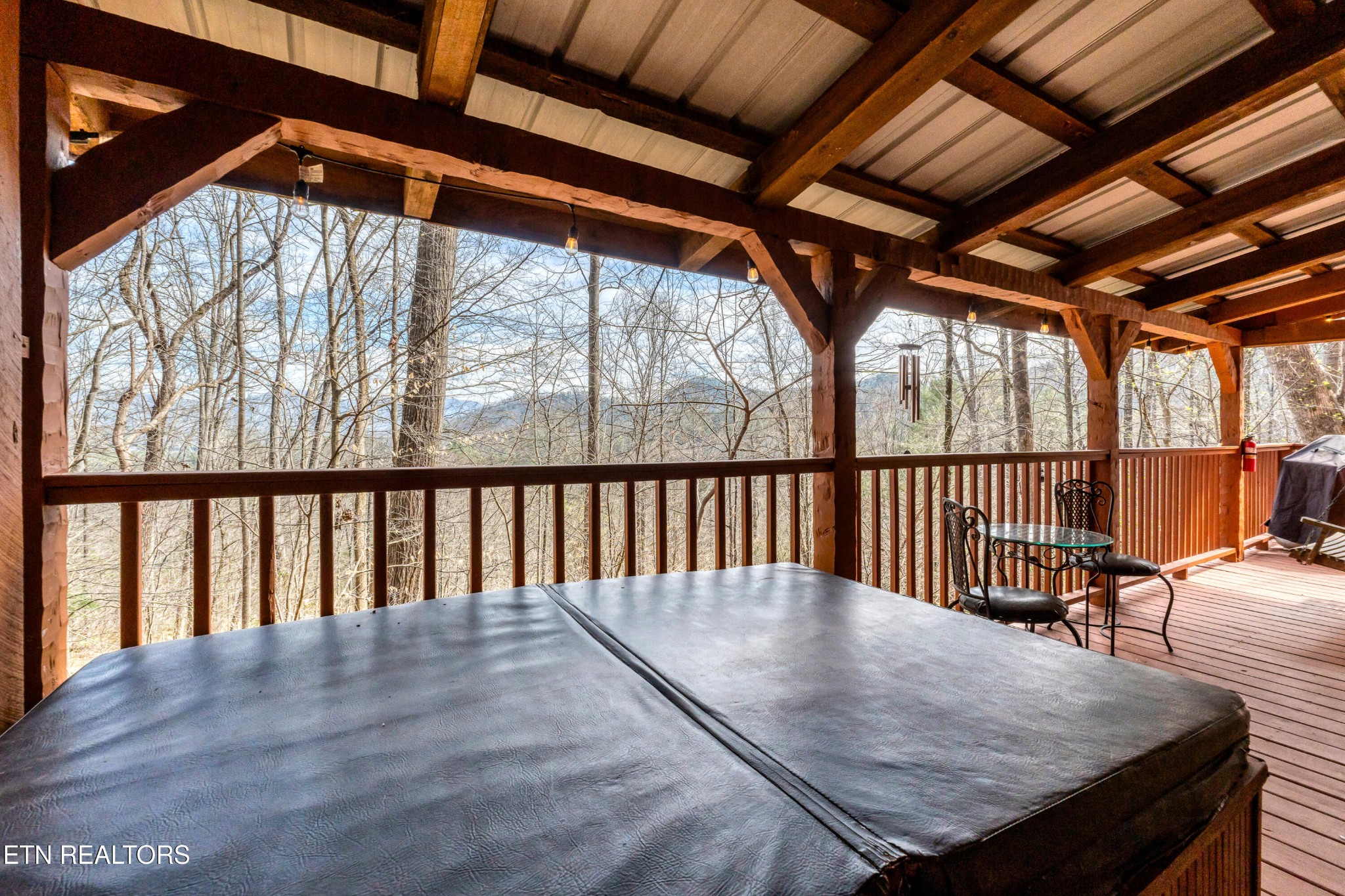 151 Timberwinds Way Townsend, TN 37882 - Photo 8 of 33 Gallery Image 8