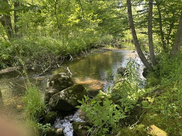 7816 West Vernon Road Lake, MI 48632 - Photo 6 of 7