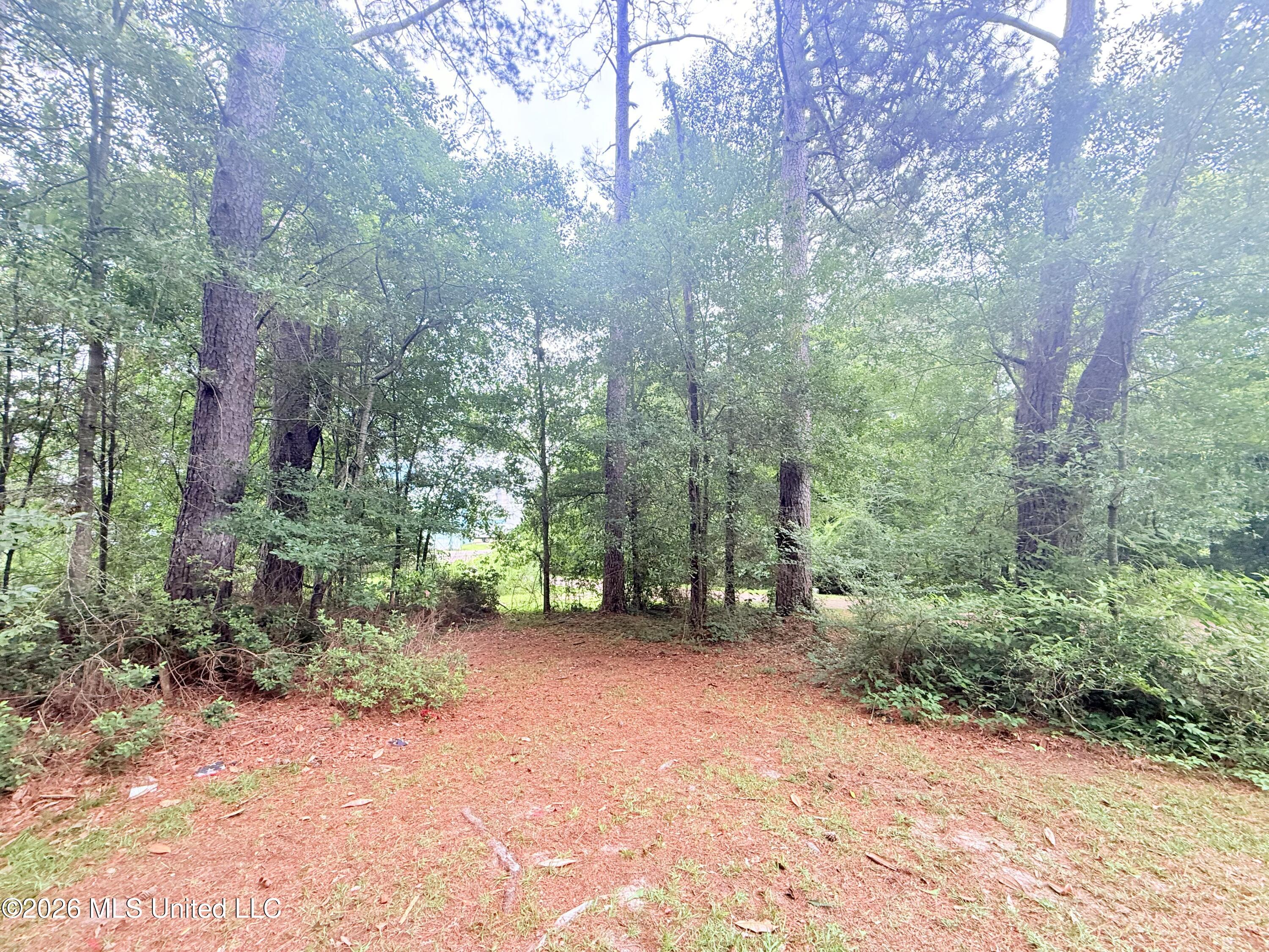 1015 Highway 51 Summit, MS 39666 - Photo 23 of 32 IMG_6650