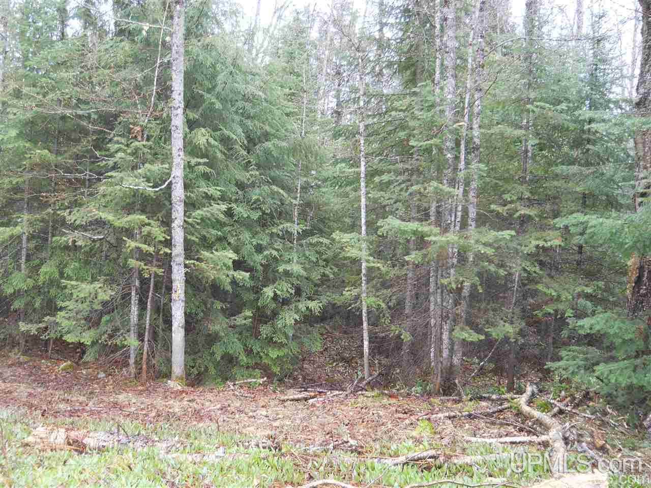 Tbd Tbd Off Us41 Lanse, MI 49946 - Photo 16 of 17