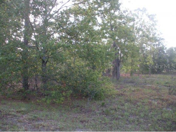 0 Southwest 202nd Avenue Road Dunnellon, FL 34431 - Photo 1 of 1 Primary Photo