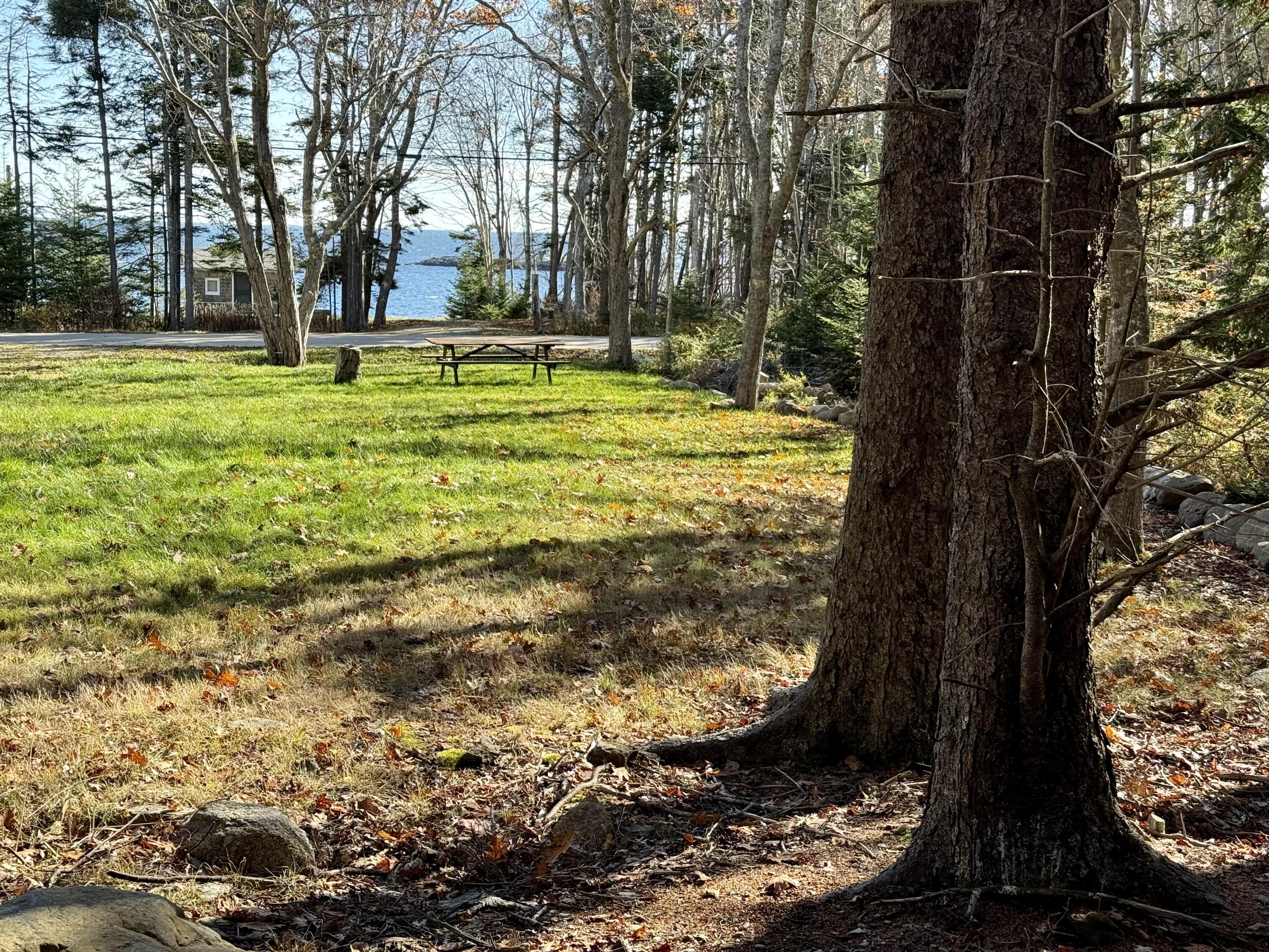 69 McFarland Shore Road Bristol, ME 04554 - Photo 2 of 5 IMG_3295