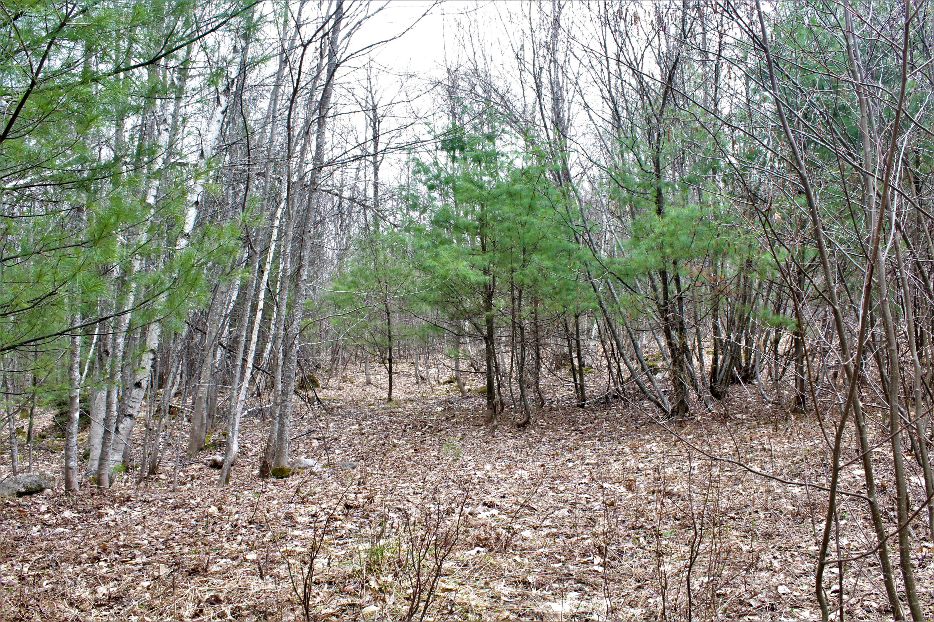 0 Haley Town Road Fryeburg, ME 04037 - Photo 3 of 7 Land