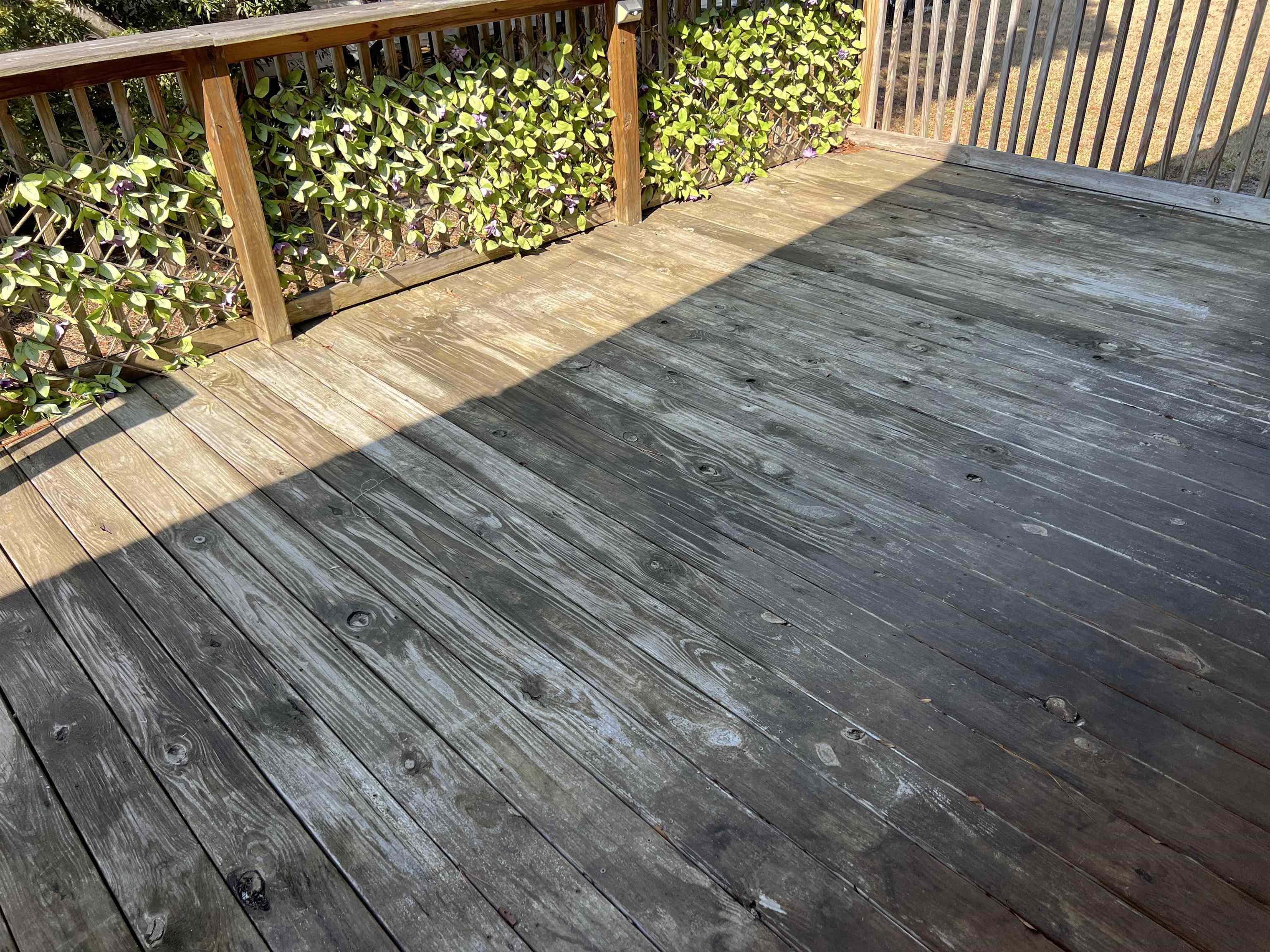 1672 Ursa Major Drive Myrtle Beach, SC 29575 - Photo 31 of 34