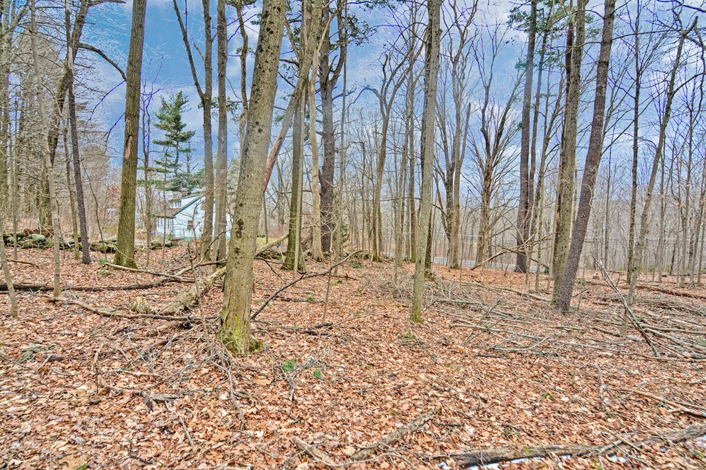 0 Warren Road Brimfield, MA 01010 - Photo 1 of 2 Gallery Image 1