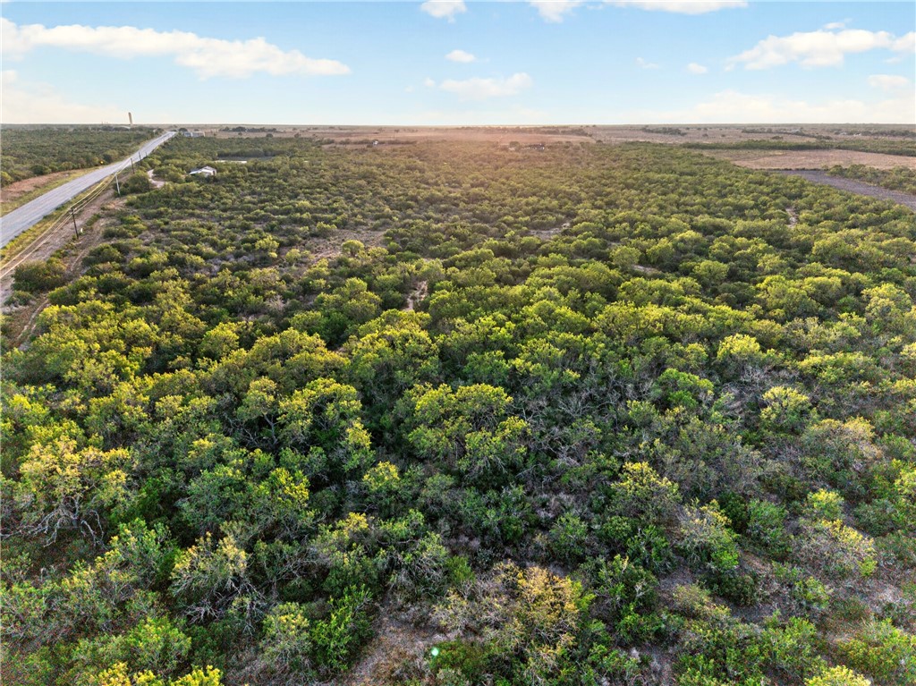 0 Highway 72 Three Rivers, TX 78071 - Photo 6 of 10 Gallery Image 6