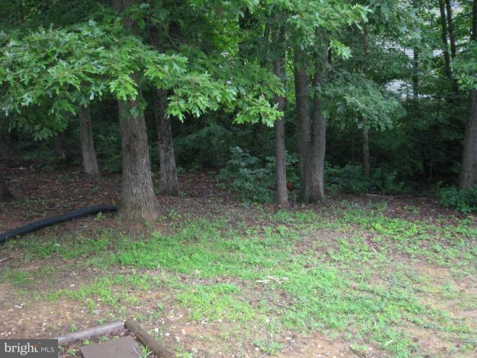30 Myrtle Road Fredericksburg, VA 22405 - Photo 2 of 8 Exterior #2