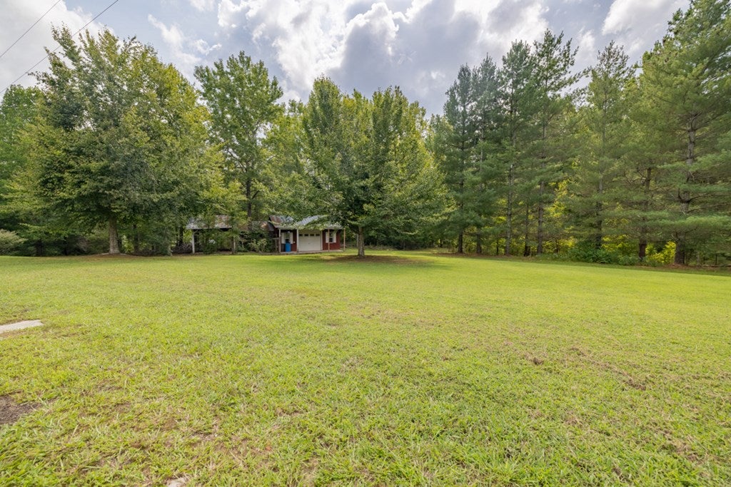 2898 Briery Road Keysville, VA 23947 - Photo 16 of 19 Gallery Image 16