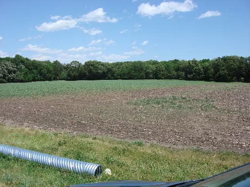 1 East 1925 Th Road Wedron, IL 60557 - Photo 2 of 12