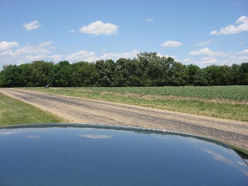 1 East 1925 Th Road Wedron, IL 60557 - Photo 5 of 12