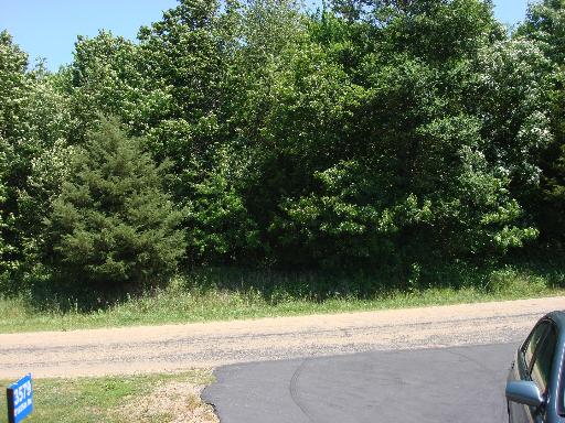 1 East 1925 Th Road Wedron, IL 60557 - Photo 6 of 12