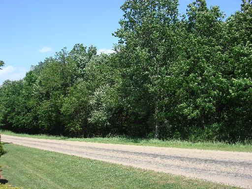 1 East 1925 Th Road Wedron, IL 60557 - Photo 7 of 12