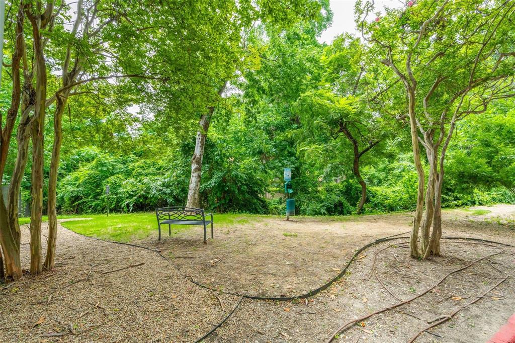4837 Cedar Springs Road, Unit 110 Dallas, TX 75219 - Photo 21 of 21 a view of a park
