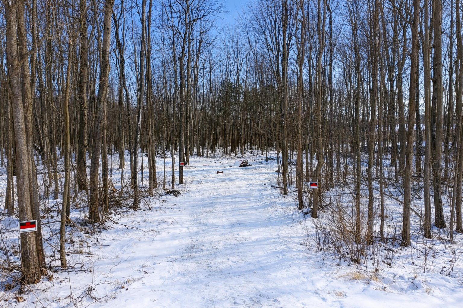 25121 Baseline Road Allegan, MI 49010 - Photo 3 of 13 3rd