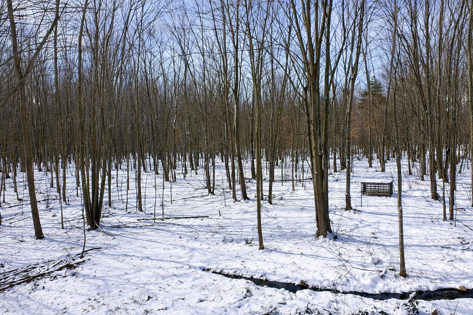 25121 Baseline Road Allegan, MI 49010 - Photo 4 of 13 4th