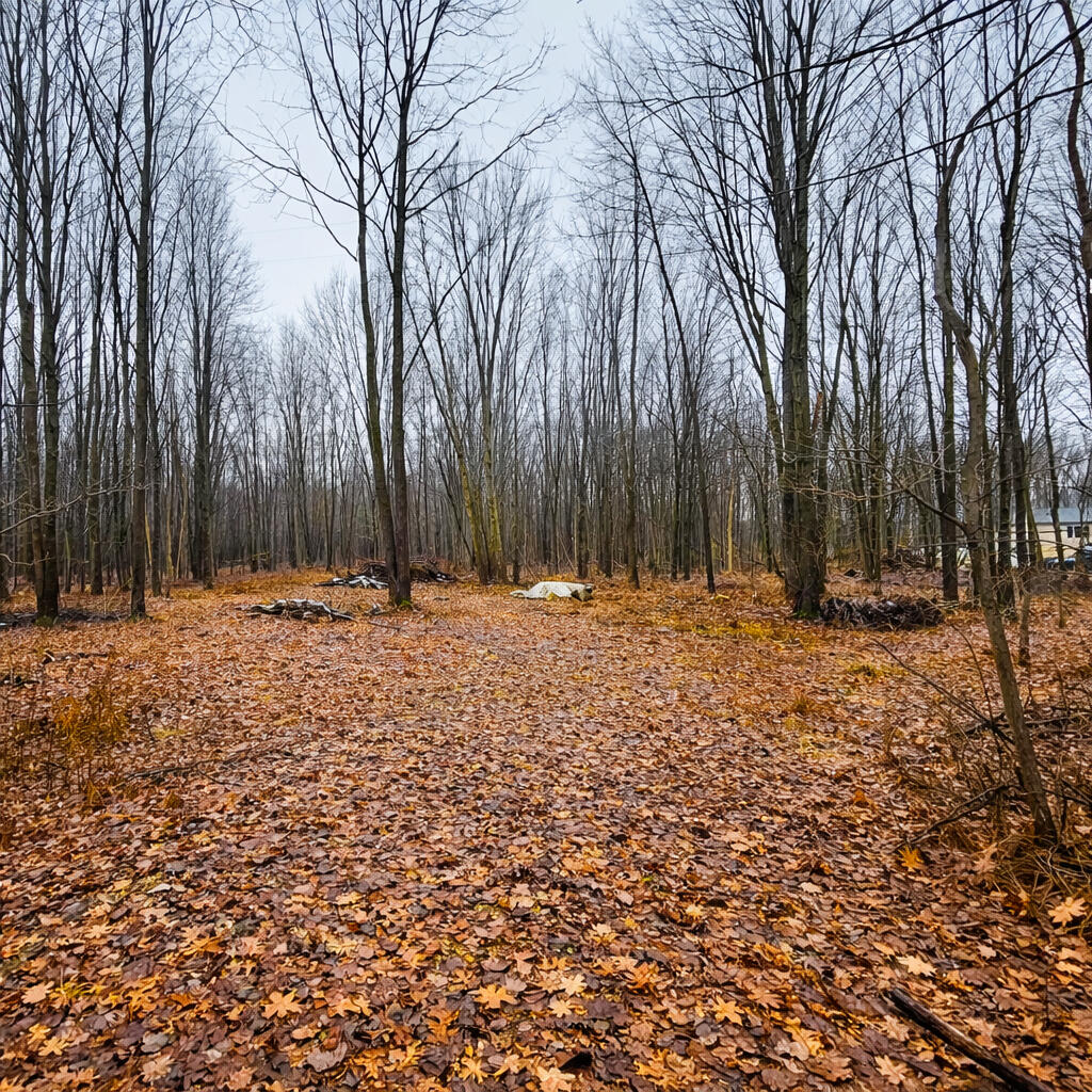 25121 Baseline Road Allegan, MI 49010 - Photo 7 of 13 7th