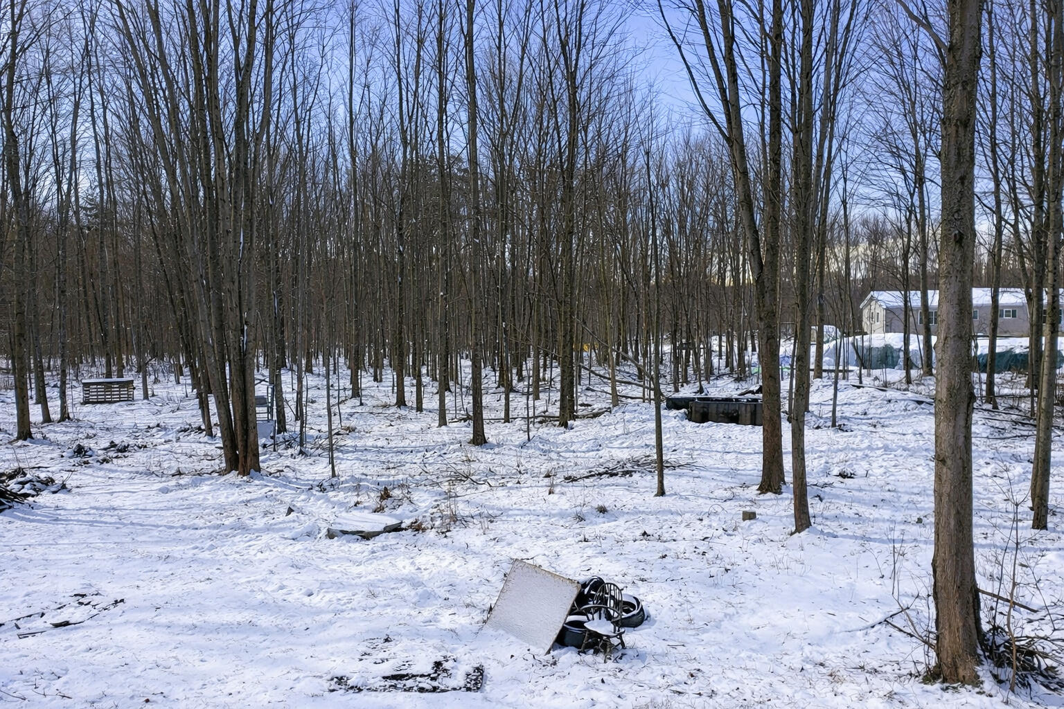 25121 Baseline Road Allegan, MI 49010 - Photo 10 of 13 10th