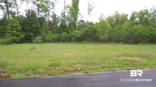 0 Wilson Street Brewton, AL 36426 - Photo 3 of 9