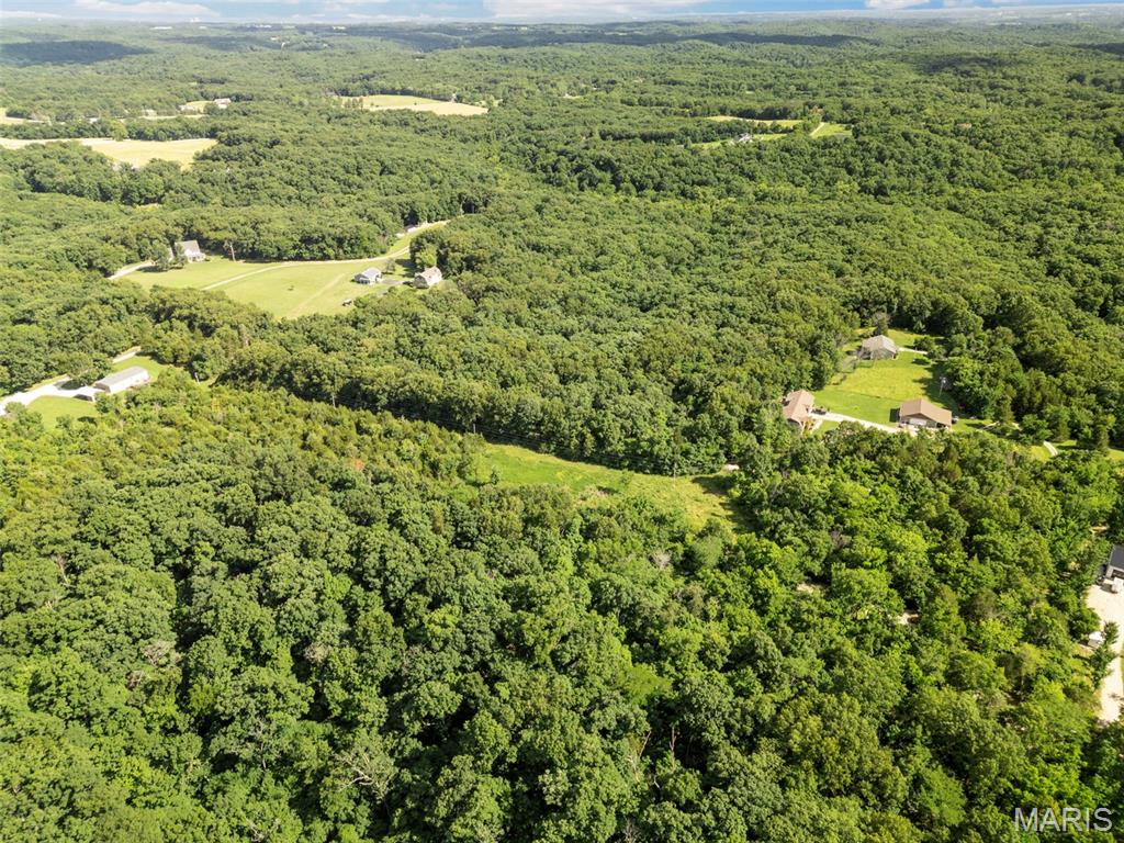 9-acres Timber Ridge Drive Marthasville, MO 63357 - Photo 18 of 22