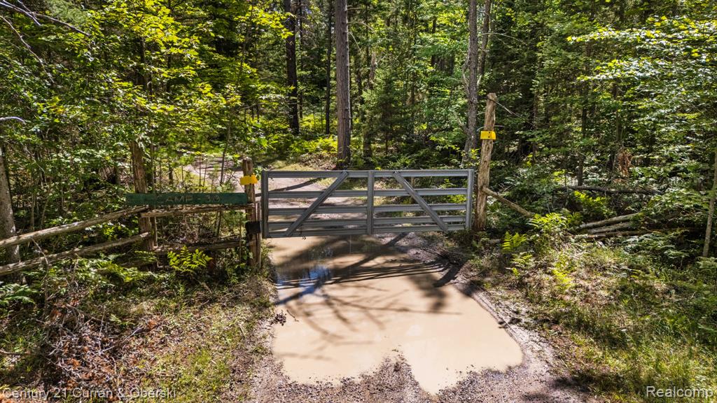 3265 Roost Road Onaway, MI 49765 - Photo 50 of 51