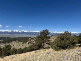 1231-124 Keepsake Loop Westcliffe, CO 81252 - Photo 1 of 20
