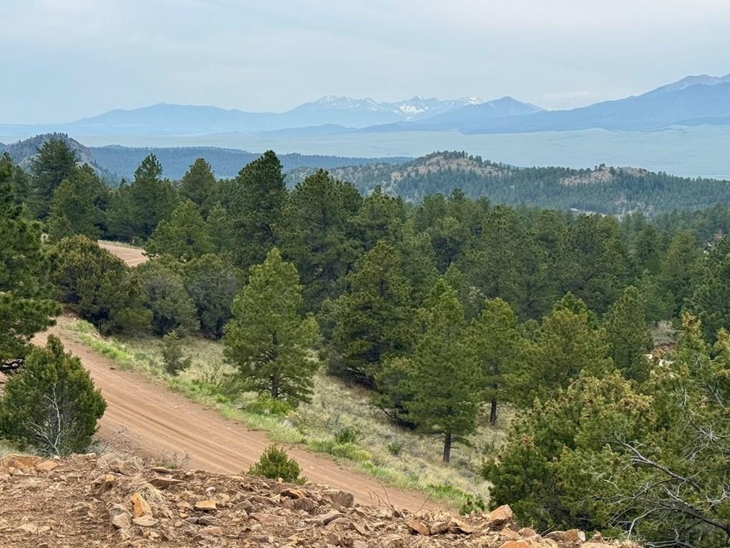 1231-124 Keepsake Loop Westcliffe, CO 81252 - Photo 11 of 20