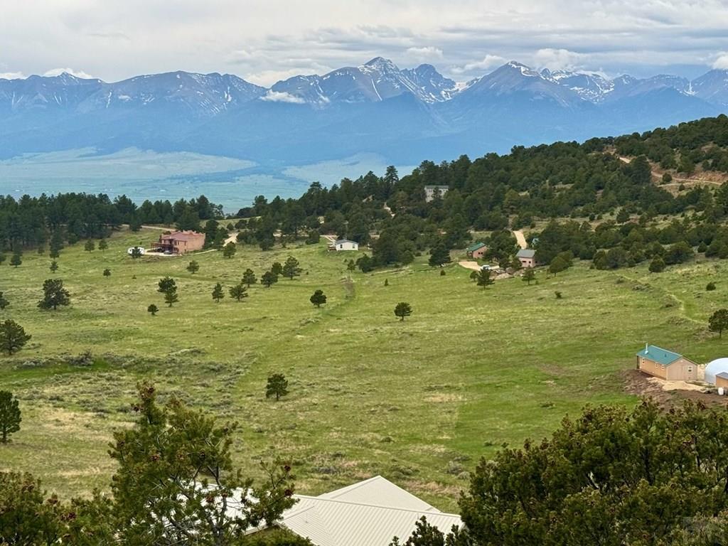 1231-124 Keepsake Loop Westcliffe, CO 81252 - Photo 12 of 20