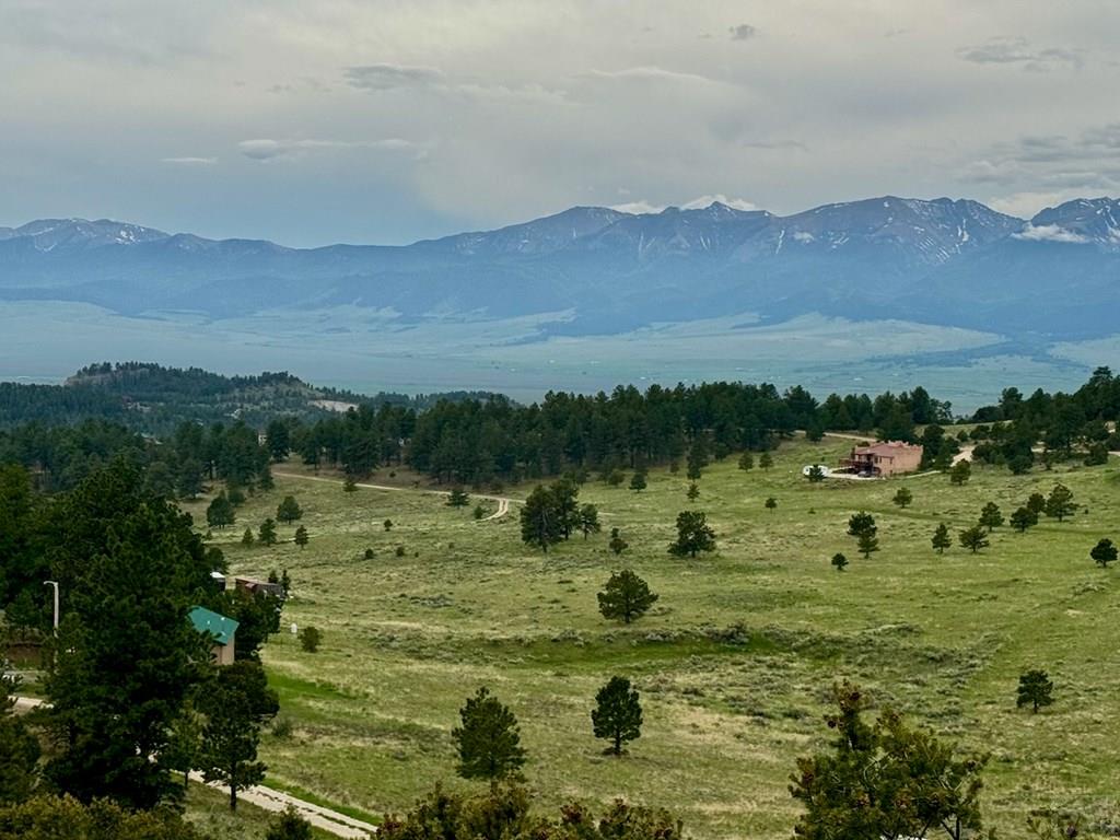 1231-124 Keepsake Loop Westcliffe, CO 81252 - Photo 13 of 20