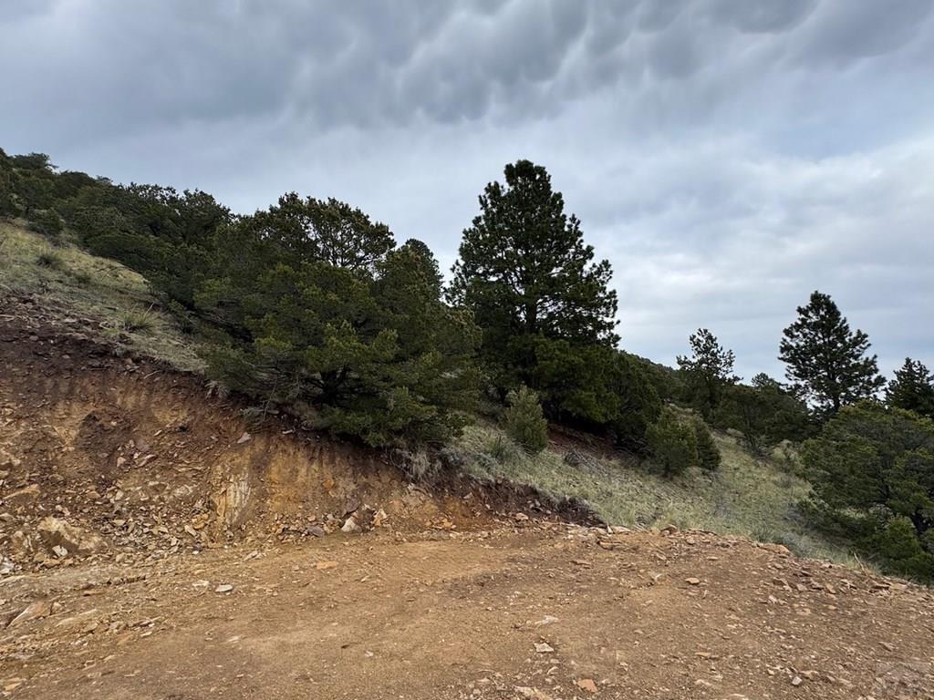 1231-124 Keepsake Loop Westcliffe, CO 81252 - Photo 15 of 20