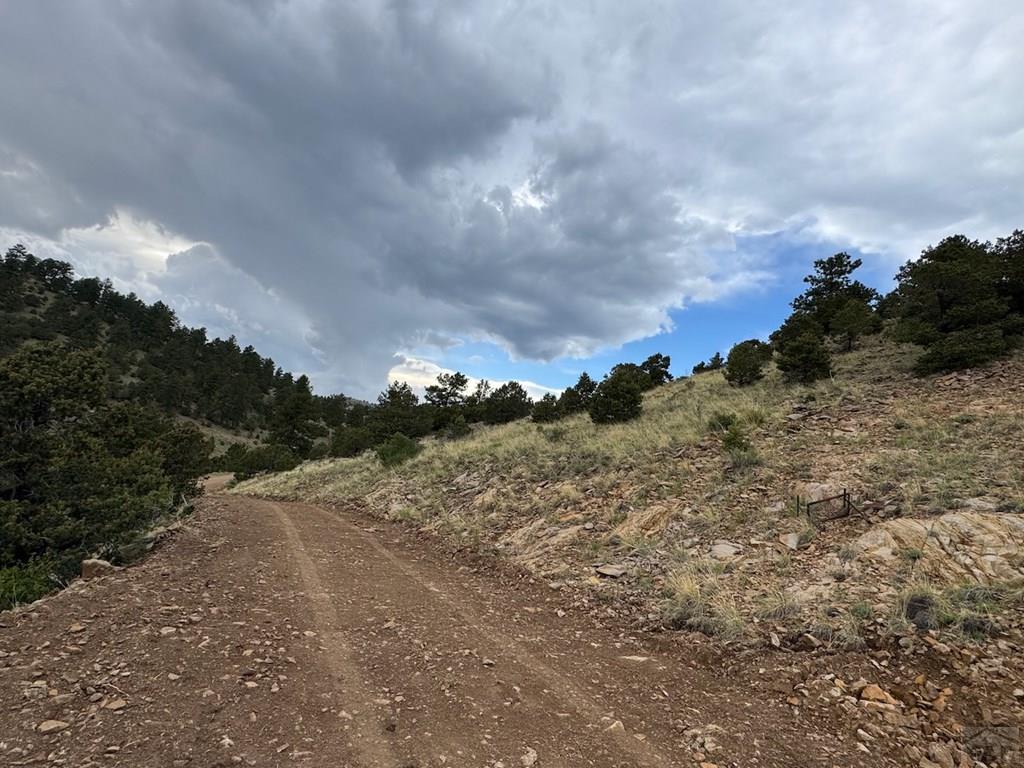 1231-124 Keepsake Loop Westcliffe, CO 81252 - Photo 16 of 20