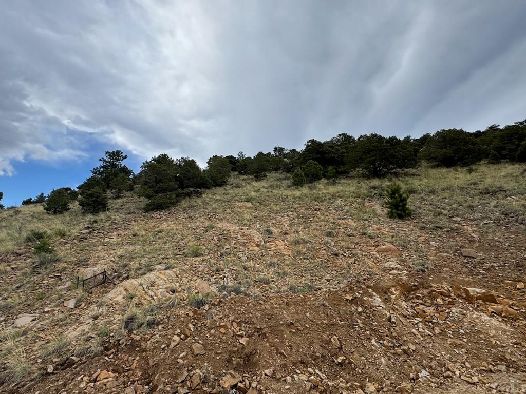 1231-124 Keepsake Loop Westcliffe, CO 81252 - Photo 17 of 20