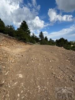 1231-124 Keepsake Loop Westcliffe, CO 81252 - Photo 4 of 20