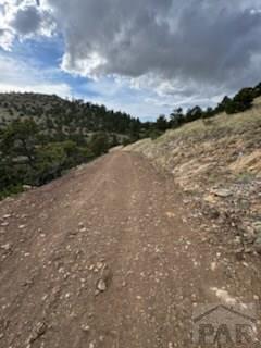 1231-124 Keepsake Loop Westcliffe, CO 81252 - Photo 5 of 20