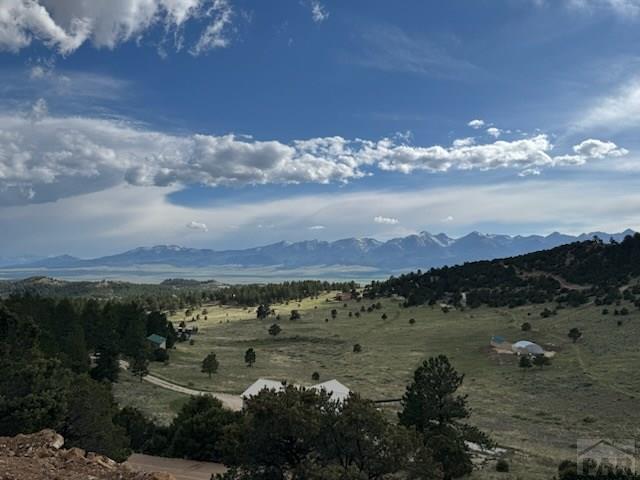 1231-124 Keepsake Loop Westcliffe, CO 81252 - Photo 6 of 20