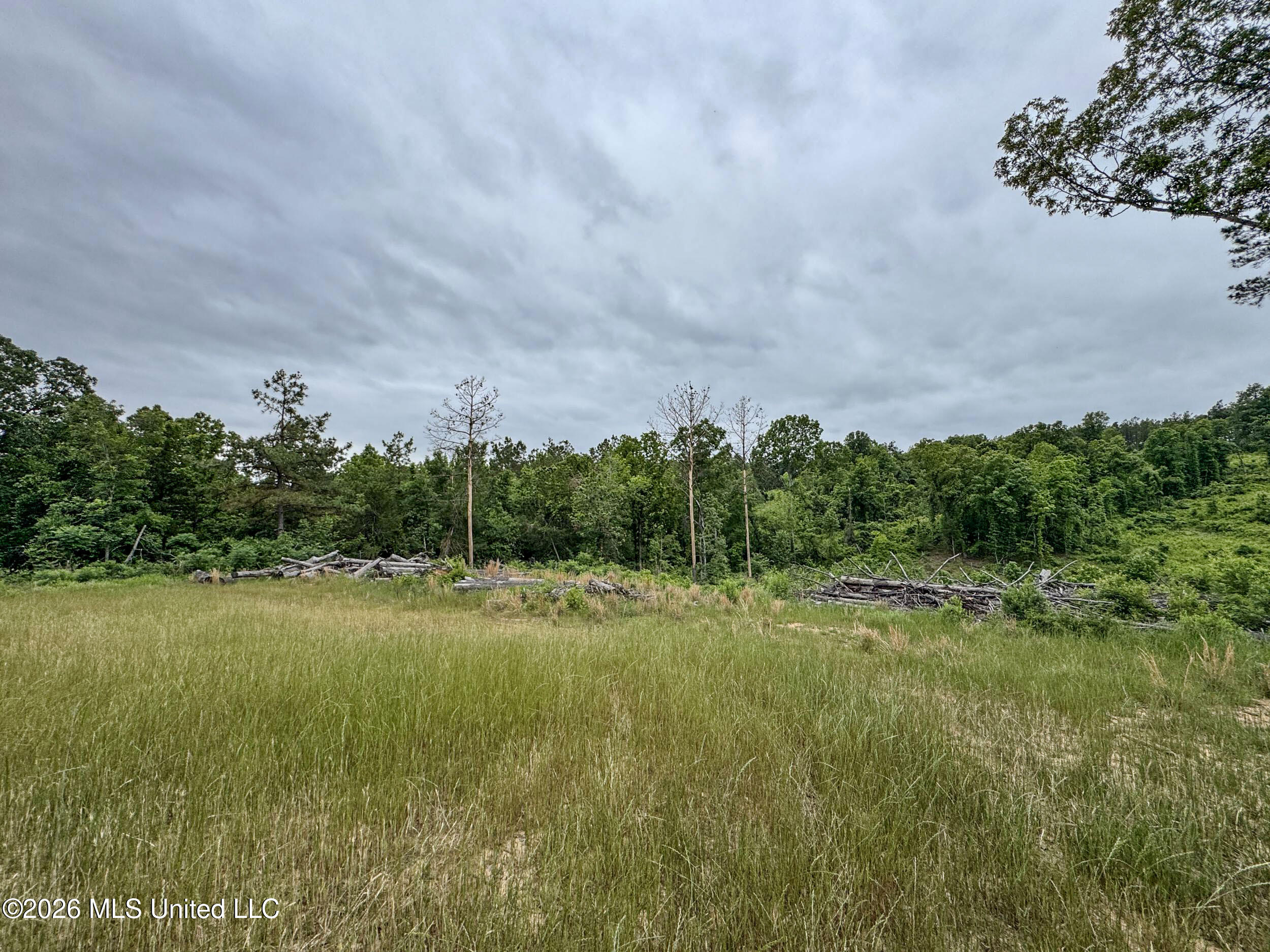Wayne Massie Road Como, MS 38619 - Photo 133 of 184 5cdtbs74