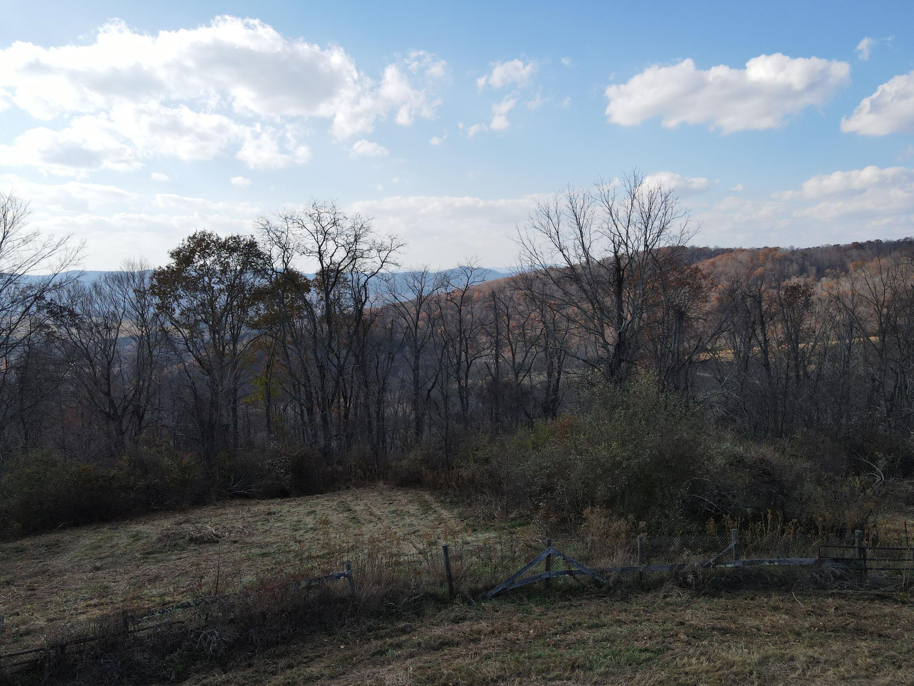 Toulee Ridges Lane Sinks Grove, WV 24976 - Photo 30 of 50 Gallery Image 30
