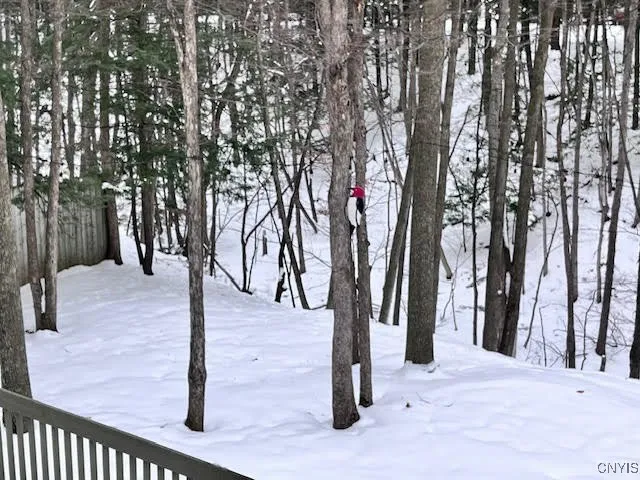 $450,000 | 4846 Limehill Drive, Onondaga, NY 13215