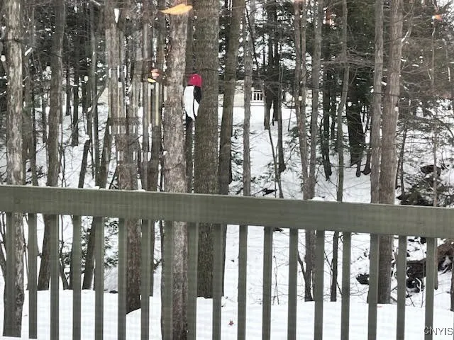 $450,000 | 4846 Limehill Drive, Onondaga, NY 13215