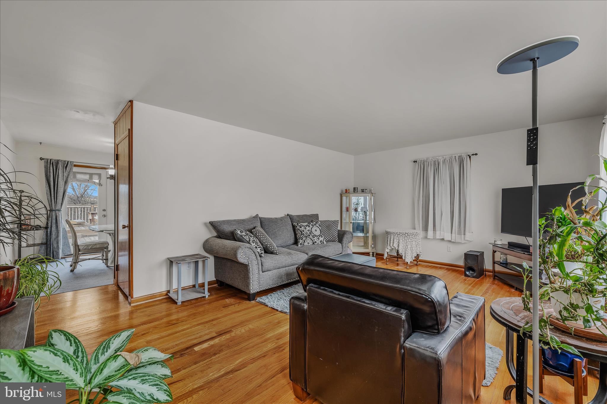 1635 Fairview Drive Berkeley Springs, WV 25411 - Photo 6 of 45 a living room with furniture and a potted plant