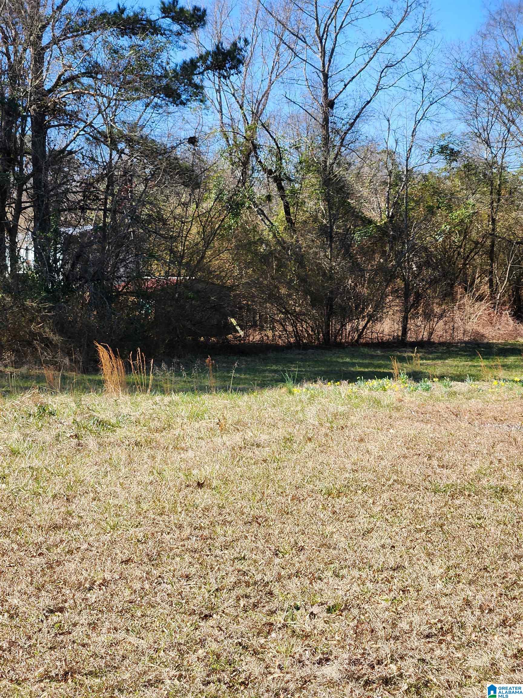 29 Self Road, Unit 1 Anniston, AL 36201 - Photo 10 of 12