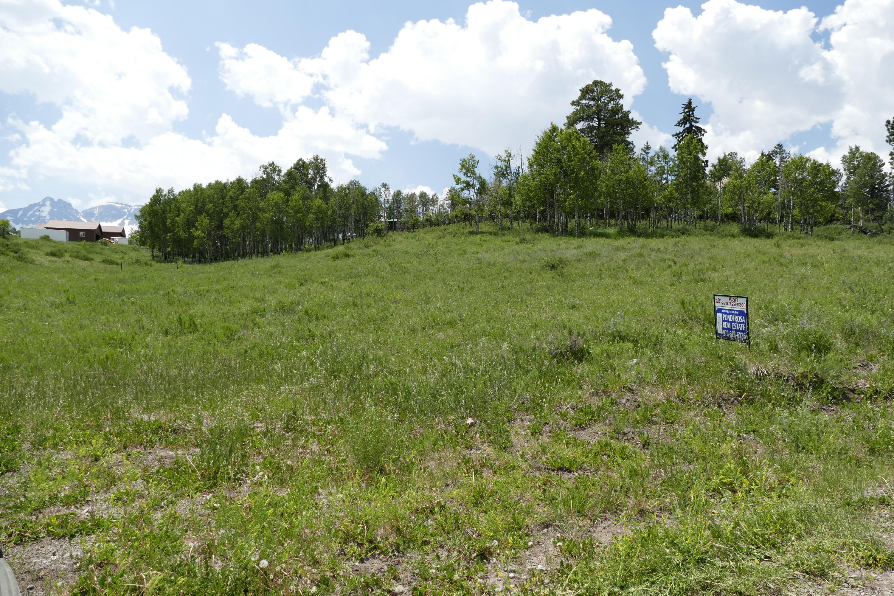 50 Spruce Lane Ridgway, CO 81432 - Photo 4 of 20 _1040638
