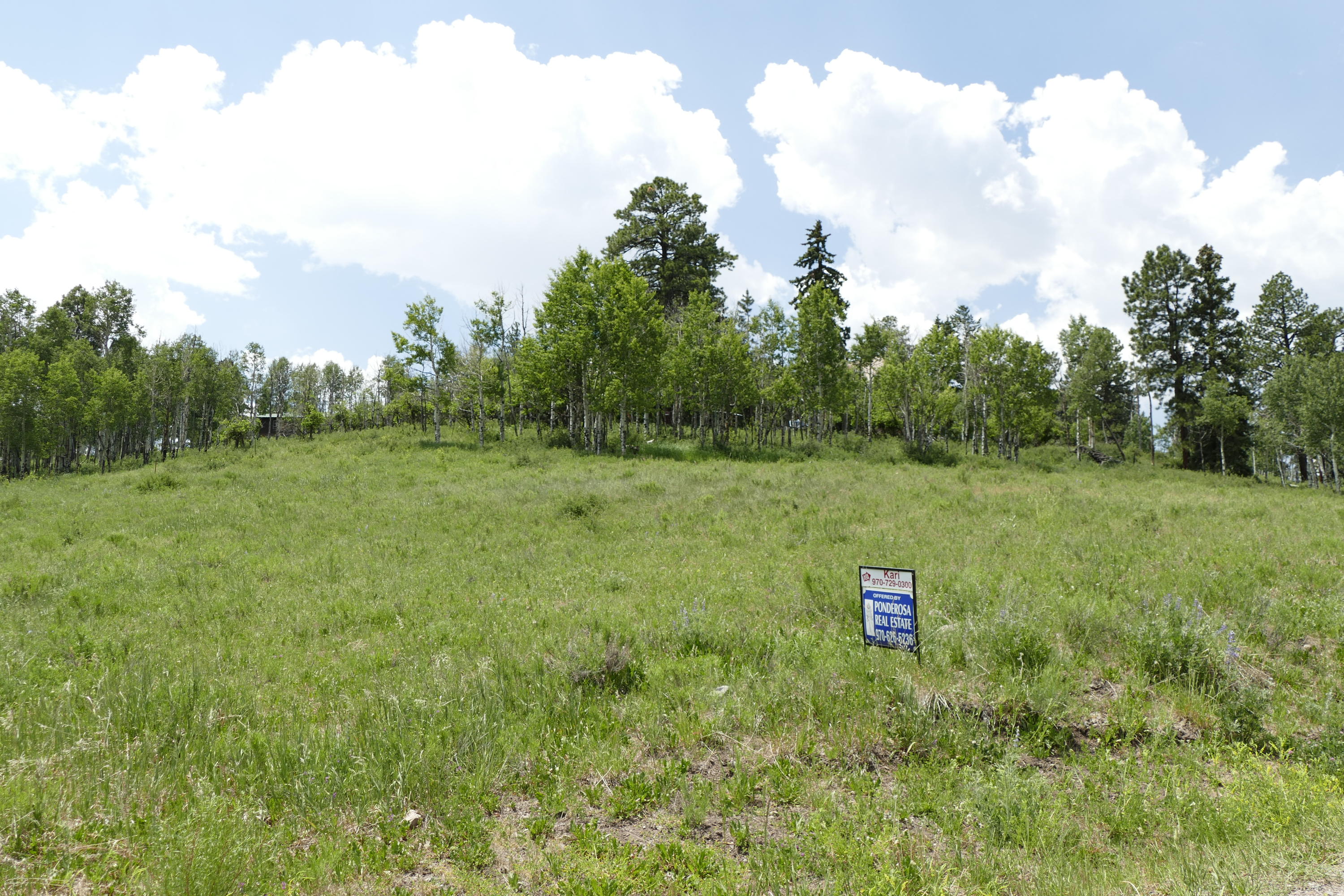 50 Spruce Lane Ridgway, CO 81432 - Photo 5 of 20 _1040639